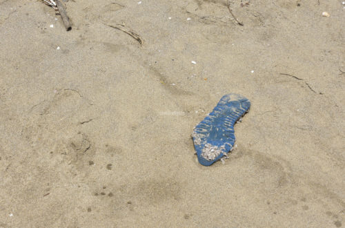 Badelatsch im Sand